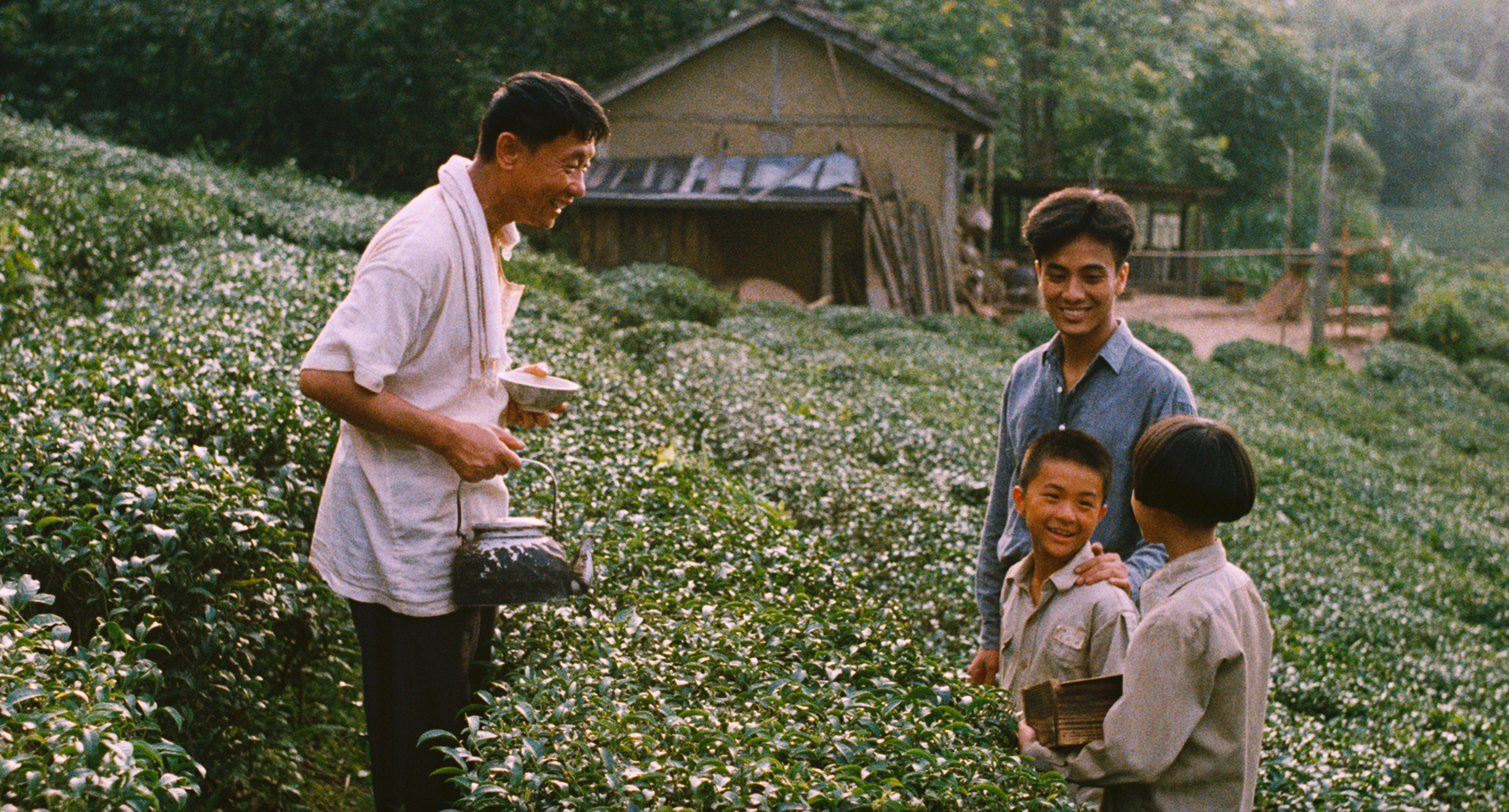 《魯冰花》The Dull-Ice Flower-圖片